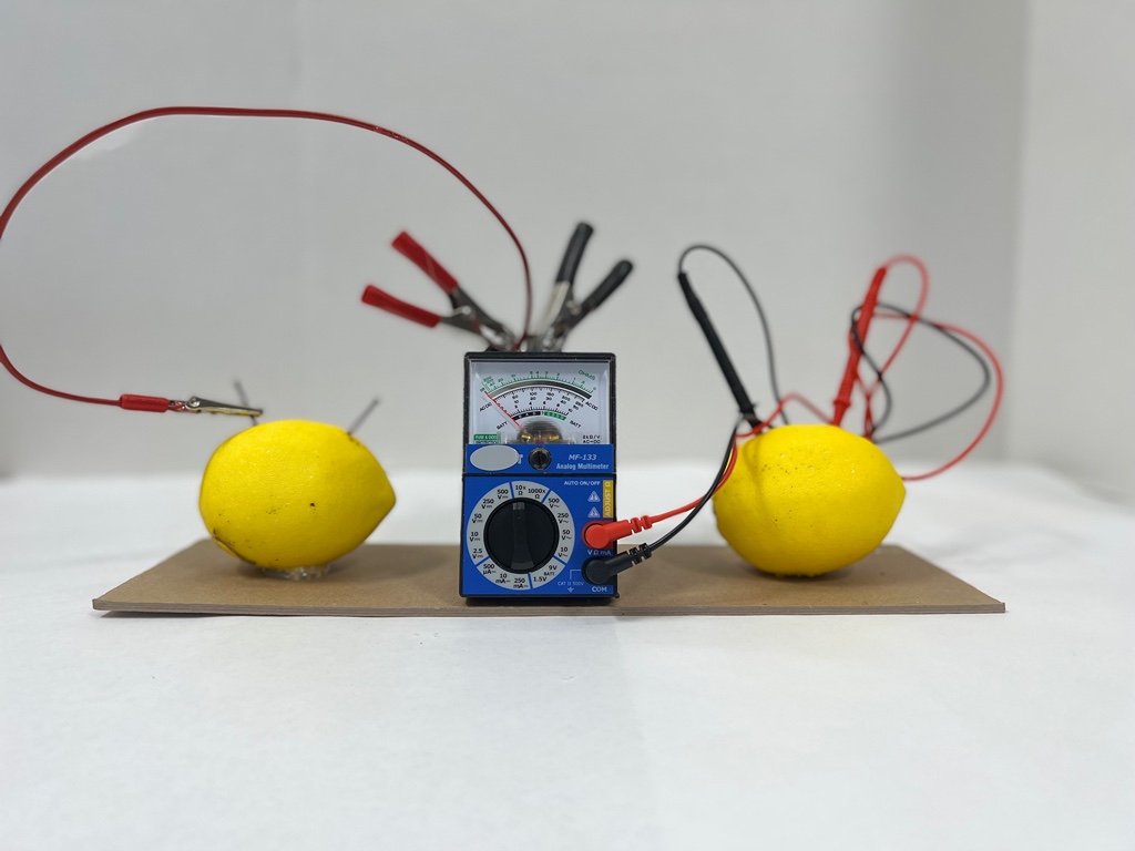 Lemon Battery Lab